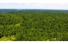 Property photo 20 - LAND AUCTION - 1,682+/- ACRES OFFERED IN 17 TRACTS IN LEWIS & GREENUP COUNTIES, KENTUCKY
